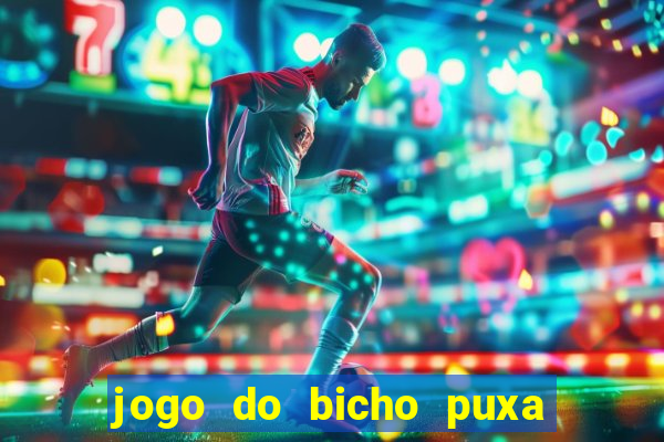 jogo do bicho puxa de dona maria